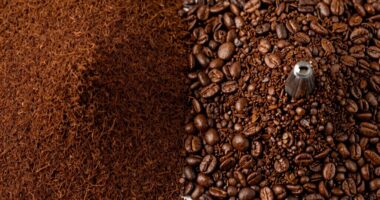 burr type affects flavor