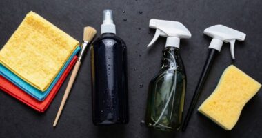 car detailing kit essentials