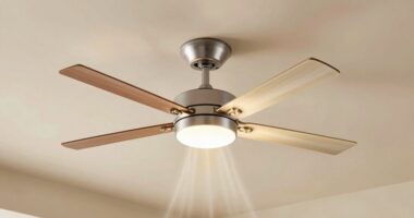 fan size and placement