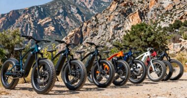 fat tire electric bikes