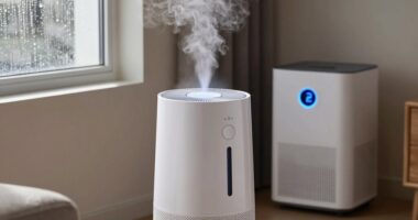 moisture control solutions