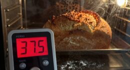 oven temperature affects baking