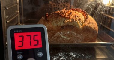 oven temperature affects baking