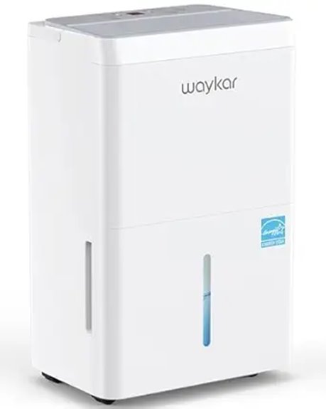 powerful energy efficient dehumidifier