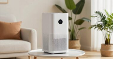 smart app controlled air purifiers