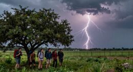 stay safe during storms