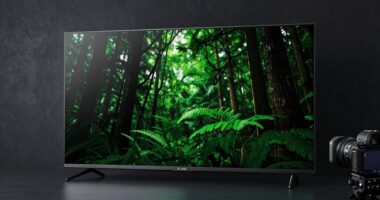 top 13 77 inch oled tvs