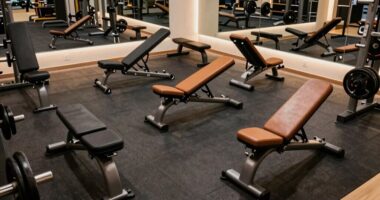 top adjustable weight benches