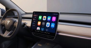 top apple carplay units 2026