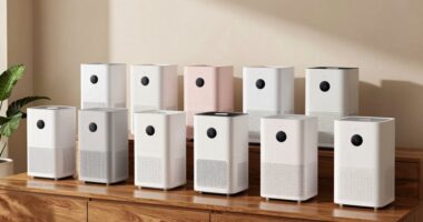 top dehumidifiers with pumps