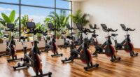 top indoor exercise bikes