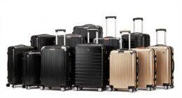 top luxury travel luggage