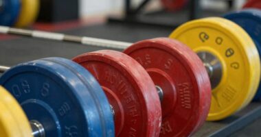 top olympic barbells 2026