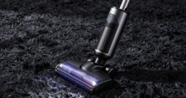 top thick carpet vacuums