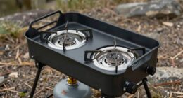 top two burner propane stoves