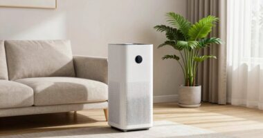 air purifier performance metric