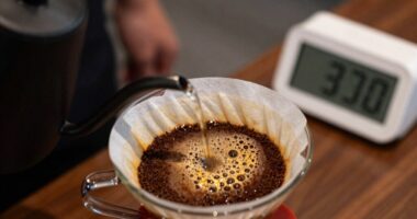 brewing duration versus extraction