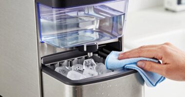 ice maker maintenance tips