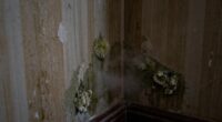 indoor mold detection signs