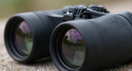 magnification and lens basics