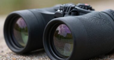 magnification and lens basics