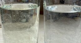 mineral content and effects