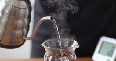 optimal coffee brewing temperature