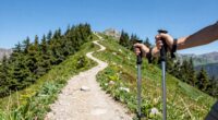 optimal hiking pole length