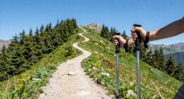optimal hiking pole length
