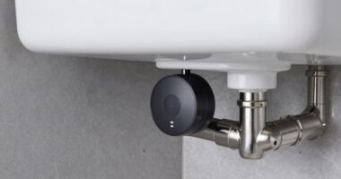 optimal leak detector placement