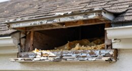 pre summer hvac inspection