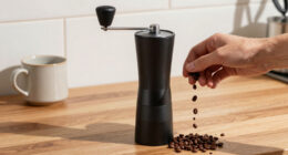10 Best Quiet Coffee Grinder for Apartment in 2026