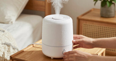 12 Best Best Steam Humidifier For Home In 2026