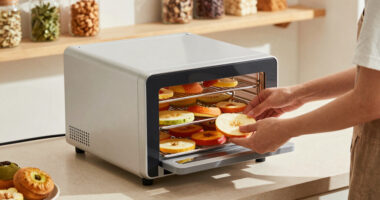 12 Best Commercial Food Dehydrator in 2026