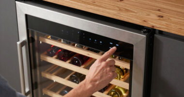 12 Best Dual Zone Wine Fridge in 2026 — The Ultimate Buyer’s Guide