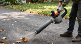 9 Best Backpack Leaf Blower in 2026