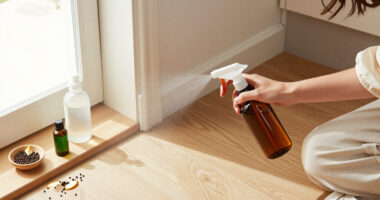 15 Best Spider Repellent Sprays for 2026