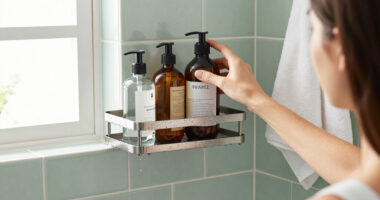 10 Best Shower Spice Racks for 2027