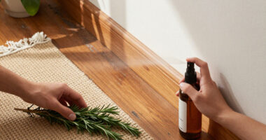 11 Best Spider Repellents for Home in 2027