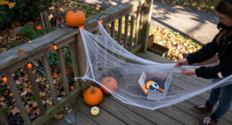 14 Best Halloween Outdoor Decorations in 2027