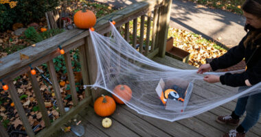 14 Best Halloween Outdoor Decorations in 2027