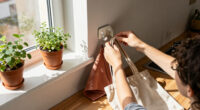 14 Best Renter-Friendly Home Products for Damage-Free Upgrades in 2027
